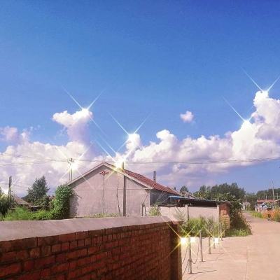 九界修真游戏下载